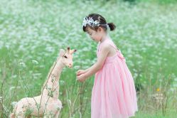 -小恩小爱儿童摄影工作室(领秀之江店)