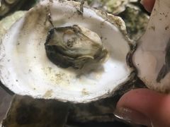 -蟹肉煲蟹肉(阊胥路店)