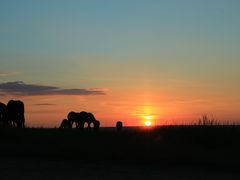 -呼和诺尔旅游景区