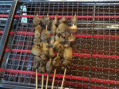 -苏州藏书羊肉(田东路店)