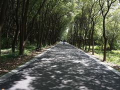 -同里国家湿地公园