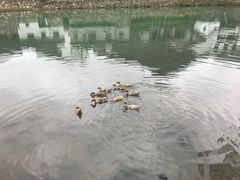 -鹿亭中村