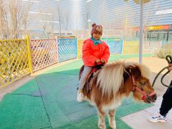 -萌宠亲子动物乐园(槐房万达店)