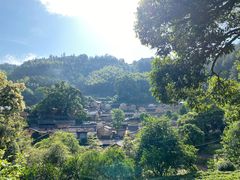 -杨家堂村