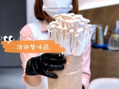 -斯普汇生蚝牛排馆(中骏世界城店)