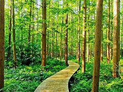 -上海怡沁园度假酒店