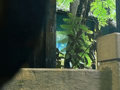 -闲亭(九眼桥店)