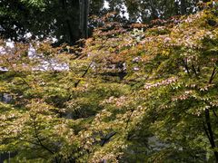 -河南省黄河迎宾馆