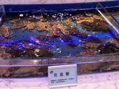 -澜悦港海鲜体验主题餐厅