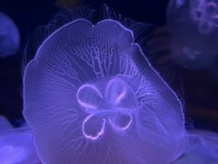 -欢乐海岸海洋奇梦馆