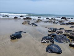 -漳州滨海火山岛自然生态风景区