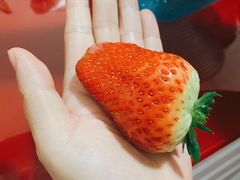 -乐乐鲜果(解放南路店)