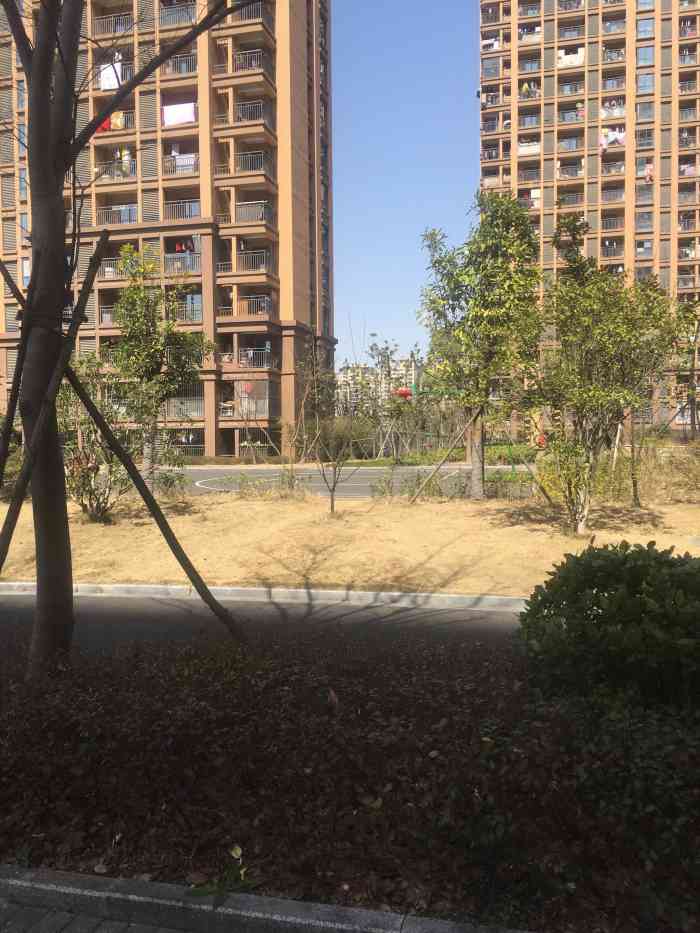 良和雅苑-"小区门口的路边摊.私人定制凉皮."-大众点评移动版