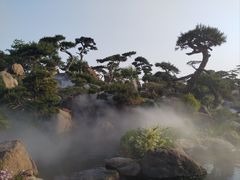 -罗红摄影艺术馆