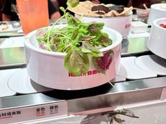-龍歌自助小火锅(雨花台江南虹悦城店)