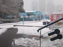 -海合安武汉极地海洋公园