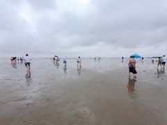 -碧海金沙