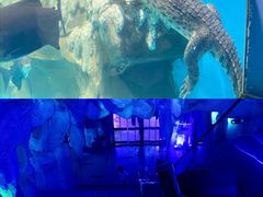 -石家庄海洋公园