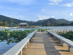 -顺峰山公园
