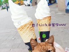 -蜜雪冰城(托乐嘉店)