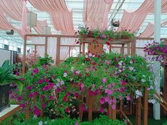 -盈香心动乐园