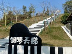 -盈香心动乐园