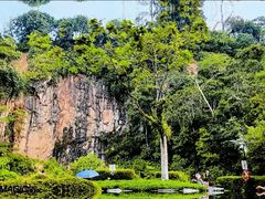 -武吉知马自然保护区