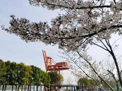 -龙美术馆(西岸馆)