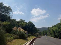 -习家池