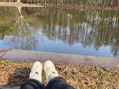 -上海共青森林公园