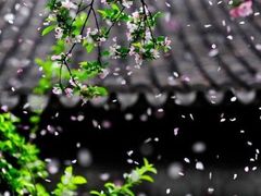 -南塘油赞子(南塘店)