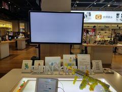 -Sony Store 索尼(来福士店)