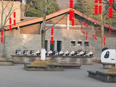 -都江堰中华大熊猫苑
