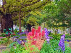 -南宁南湖公园