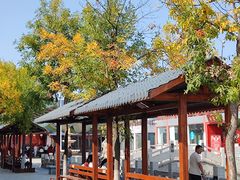 -孔子六艺文化园