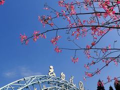 -白云山索道-售票处