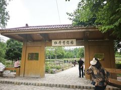 -黑龙江省森林植物园