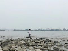 -吴淞炮台湾湿地森林公园烧烤区