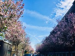 -天津五大道文化旅游区