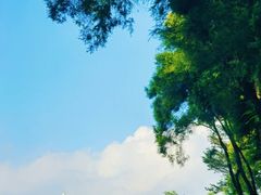 -燕晗山郊野公园