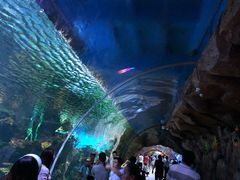 -华夏文旅海洋公园