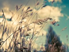 -星巴克(1788广场店)