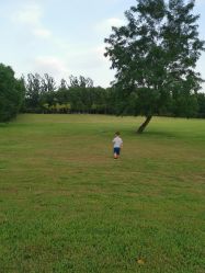 -大望京儿童游乐场