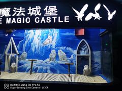 -成都浩海立方海洋公园