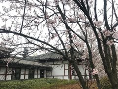 -合肥三国新城遗址公园