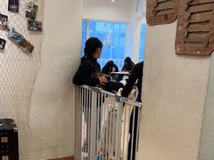 -Let's go狗咖·猫咖·奶狗·桌游(春熙路IFS店)