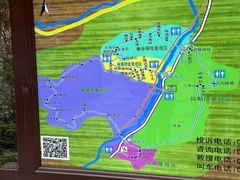 -汤旺河林海奇石景区