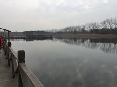 -溱湖国家湿地公园