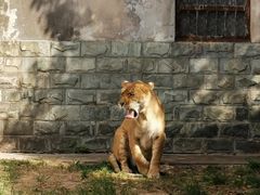 -西安秦岭野生动物园
