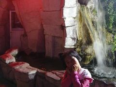 -勝記酒家·37年老字号·经典粤菜(荔枝公园店)